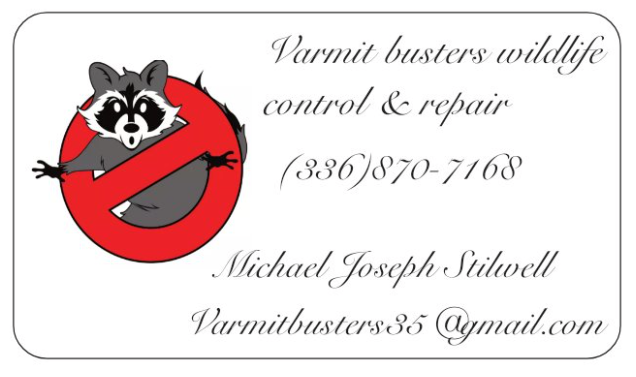 Avatar for Varmit Busters Wildlife Control & Repair
