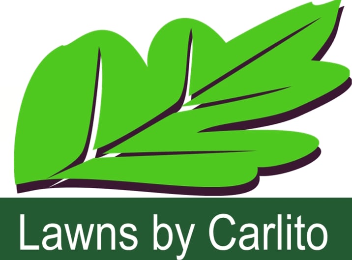 Avatar for Lawns by Carlito Inc.