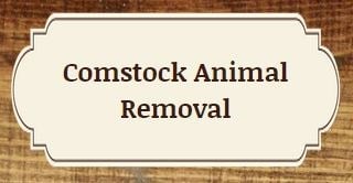 Jim Comstock Nuisance Wildlife Control logo