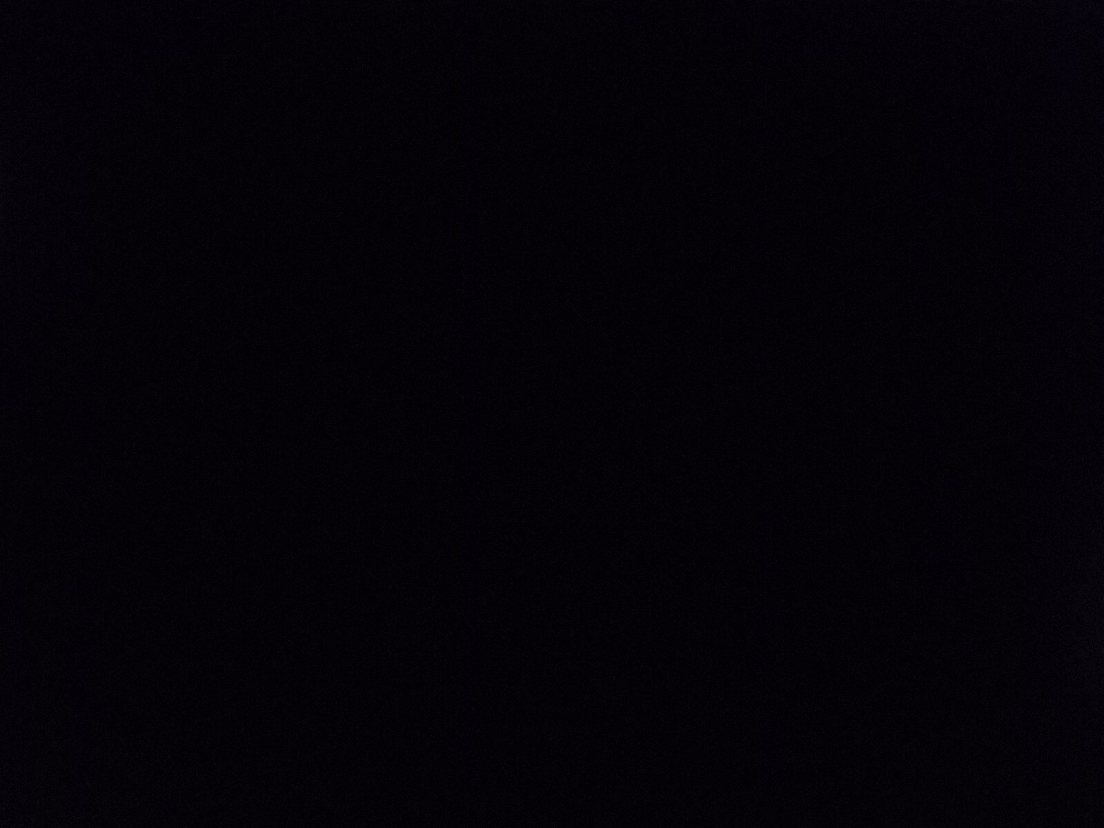 Avatar for Wilson's lawn care 