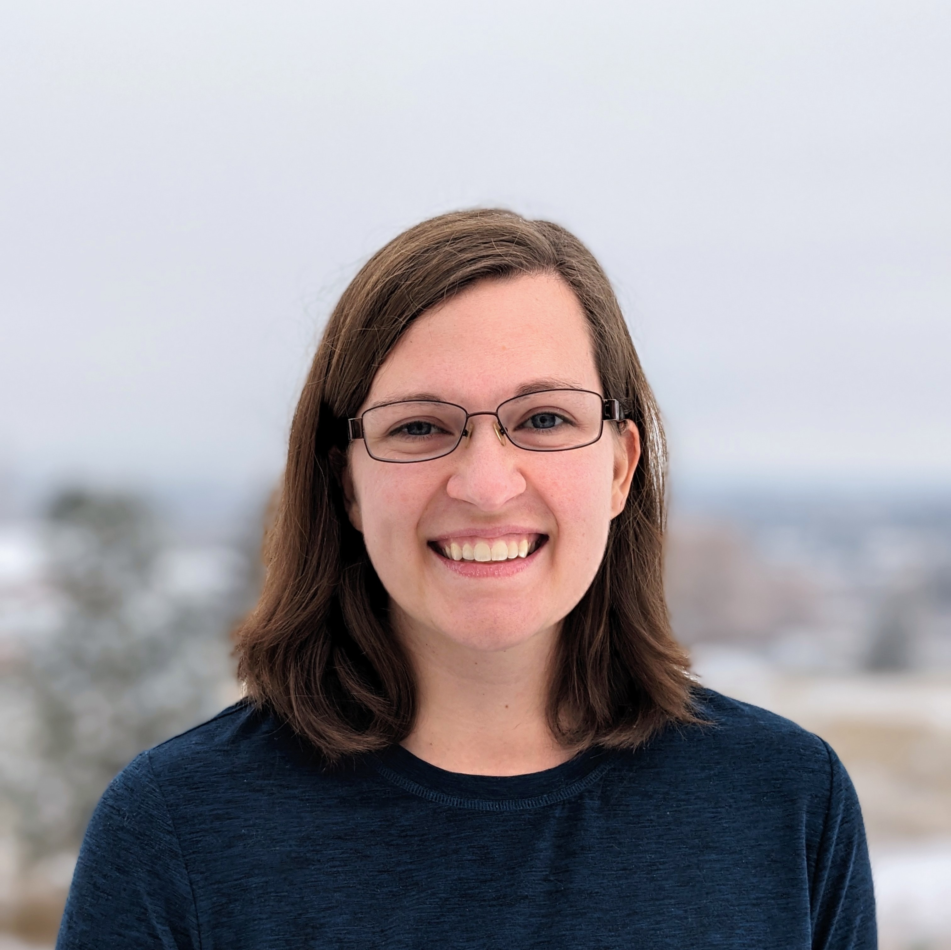 Avatar for Widget Solutions