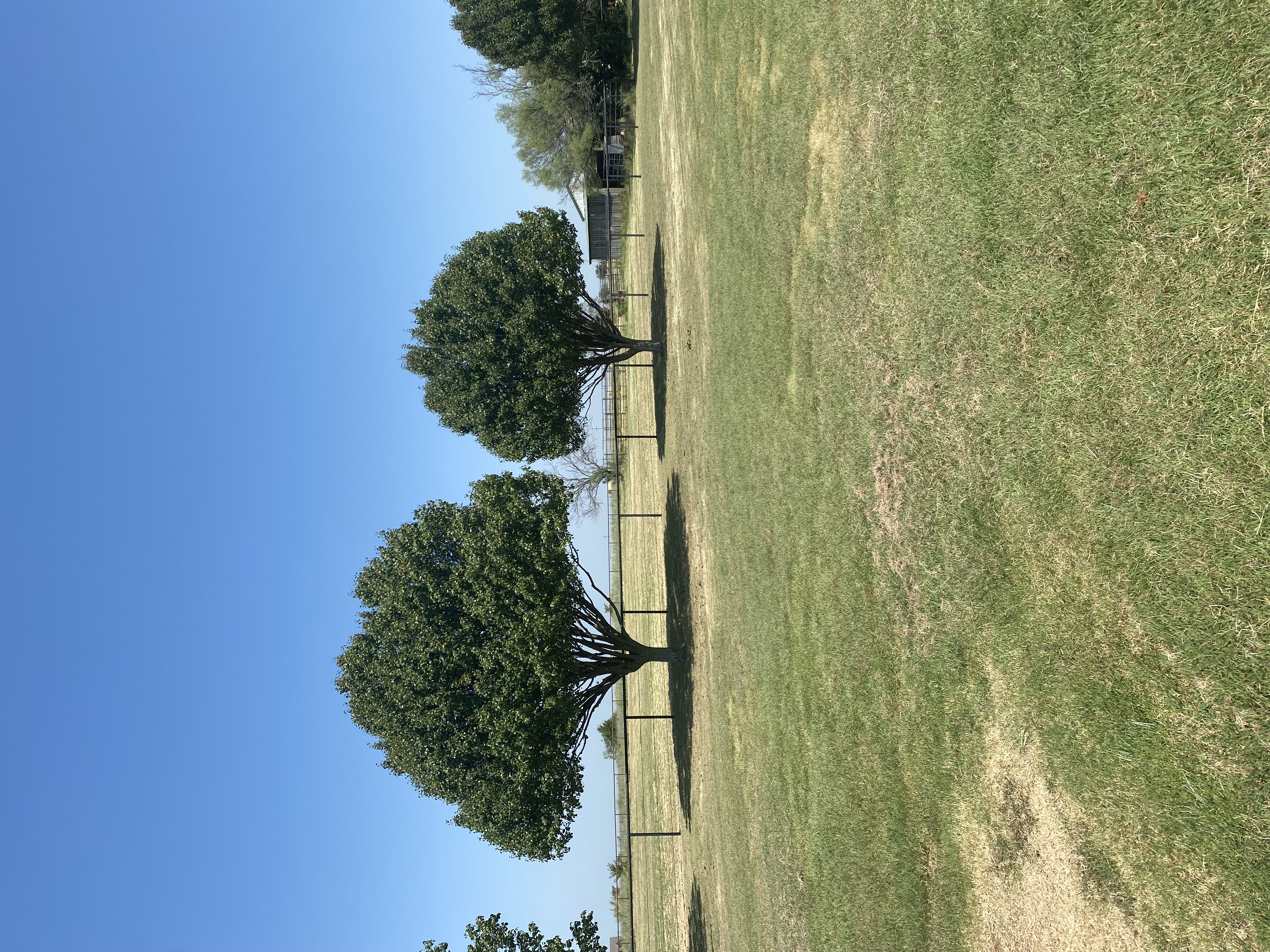 Avatar for Browers Tree Service LLC