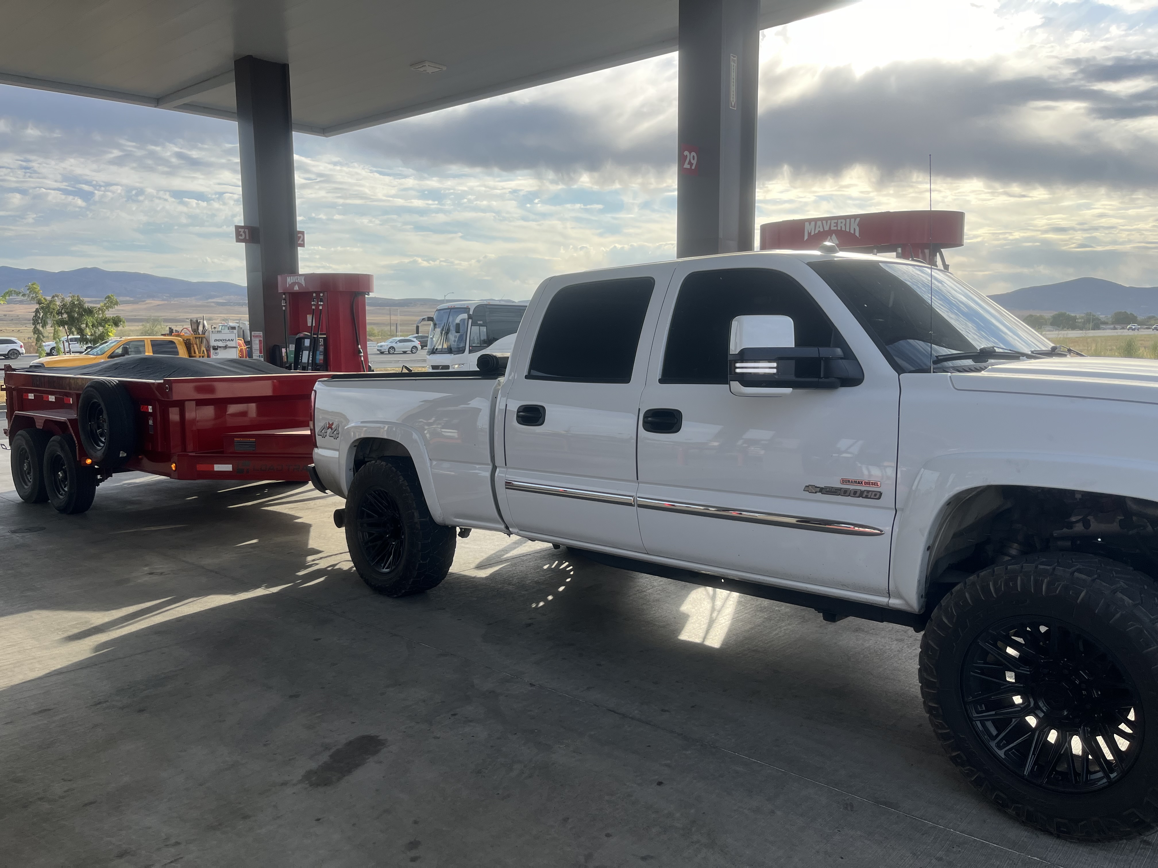 Avatar for MovingDirt