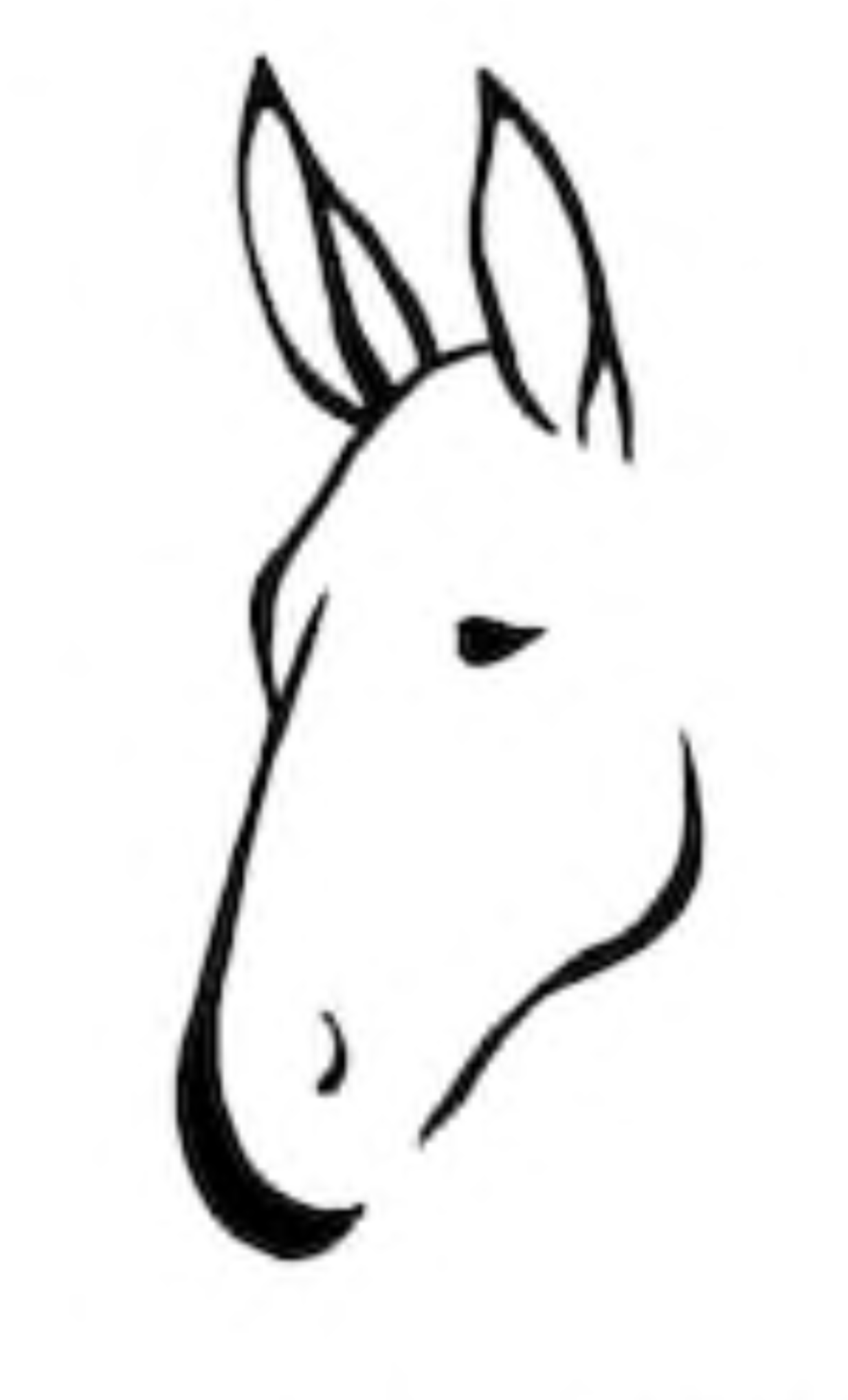 Avatar for Muletown Plumbing Service, LLC