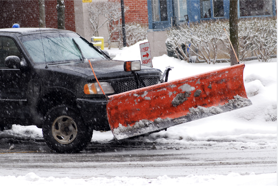 Avatar for Polar Snow and Lawn