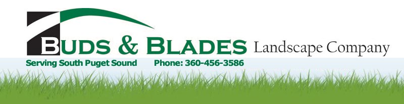 Logo for Buds & Blades Landscape Co