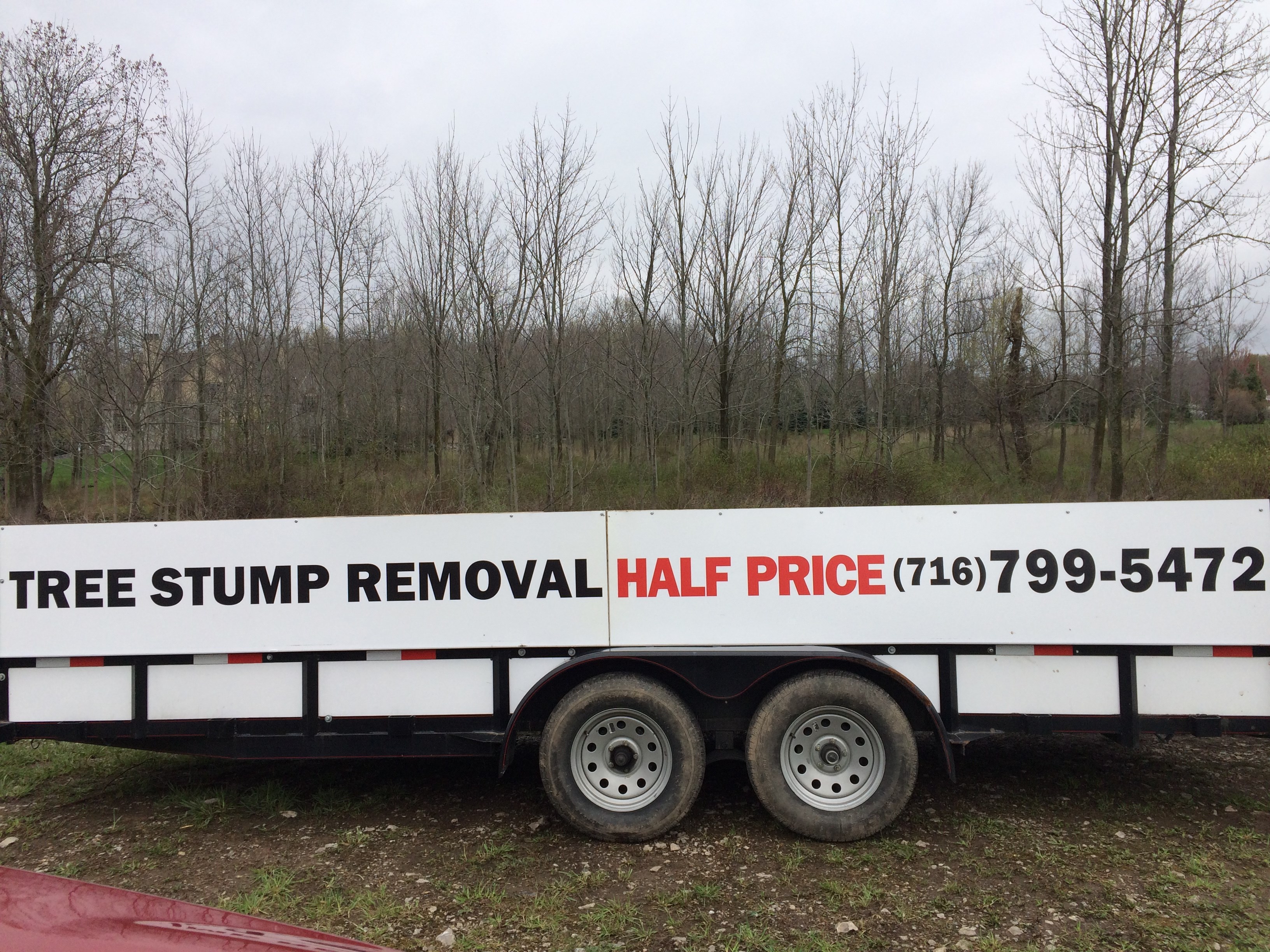 Avatar for Half Price Tree Stump Grinding