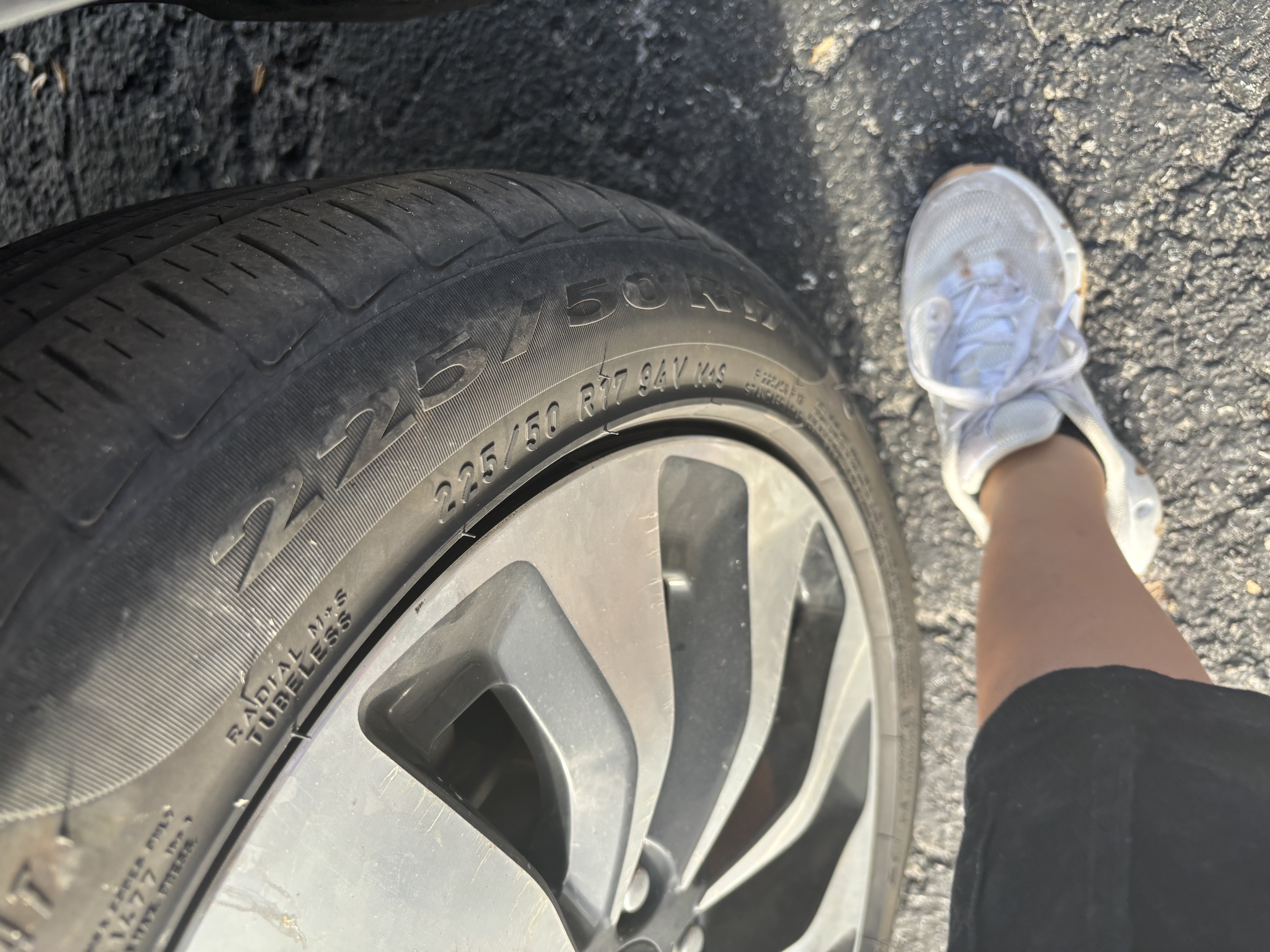 Avatar for Jays maintenance