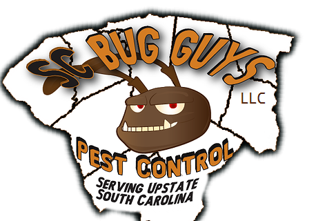 Avatar for SC Bug Guys