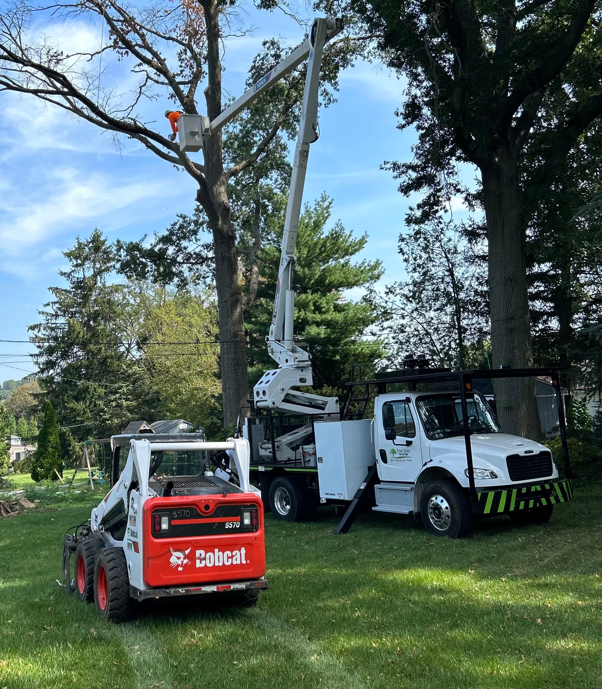 Avatar for Trees State Property Maintenance