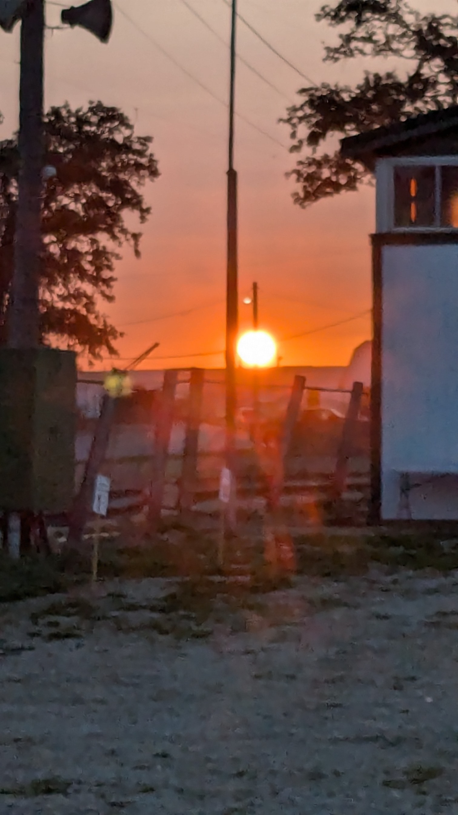 Avatar for Betty ogan