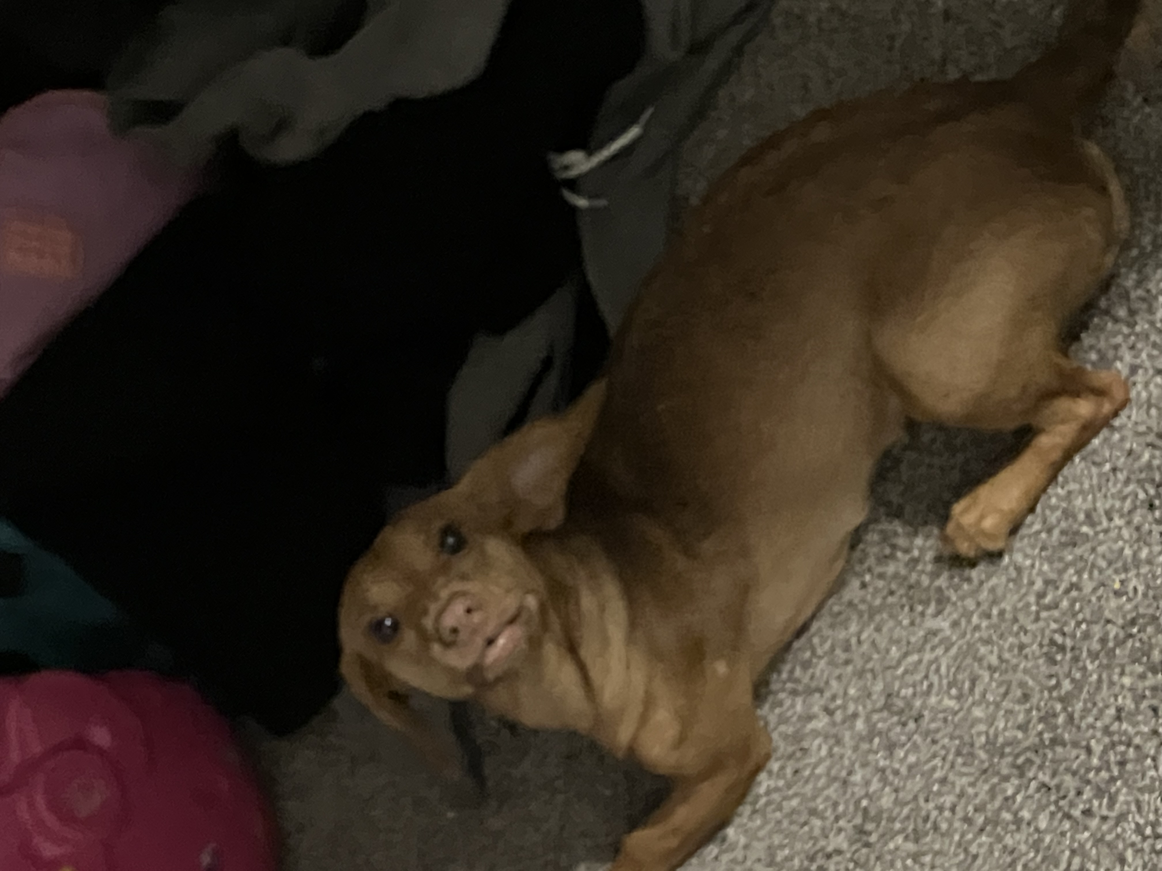 Avatar for Patrick Crawford 