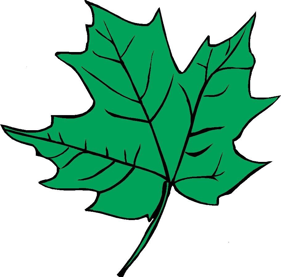 Avatar for A & T Lawncare and Landscaping Inc