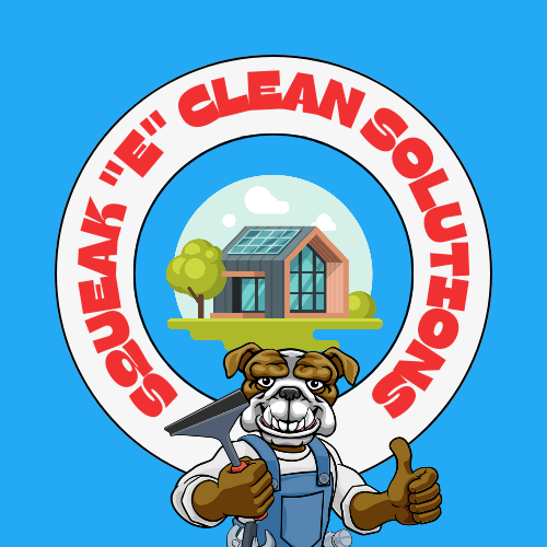 Avatar for Squeak "E" Clean Solutions