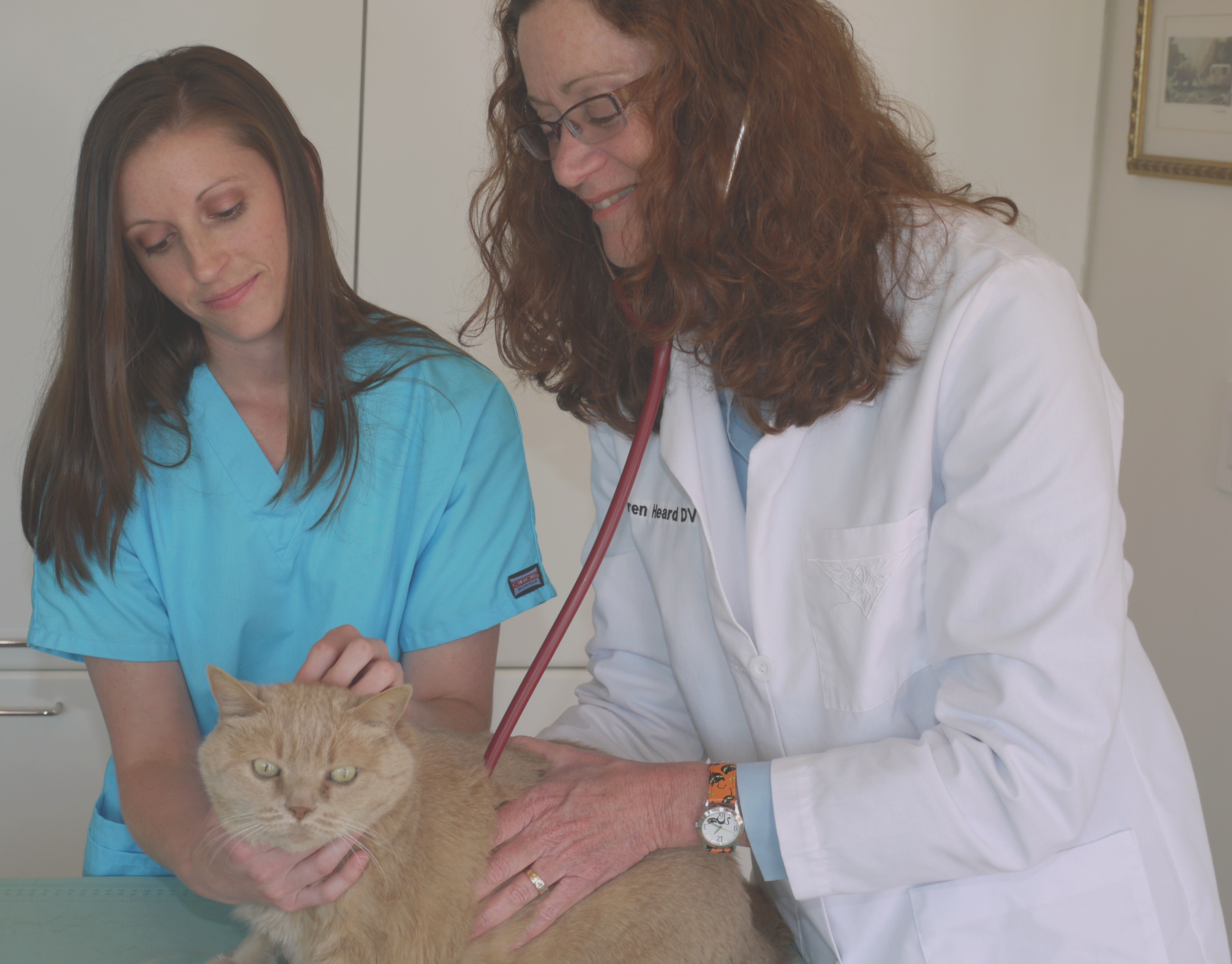 Physical Exam