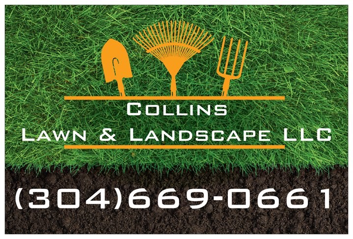 Avatar for Collins Lawn & Landscape LLC