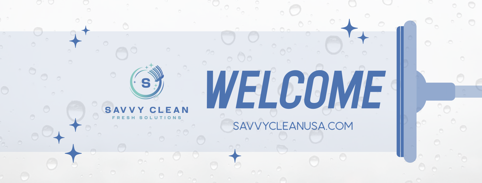 Avatar for Savvy Clean USA