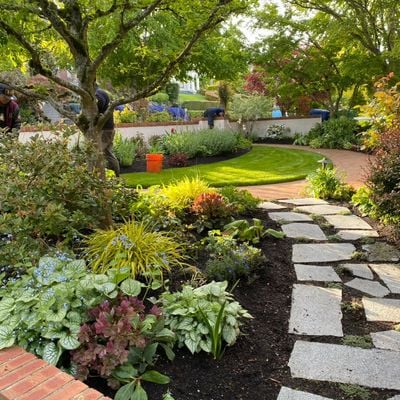 Avatar for Acores Cleaning Service & More