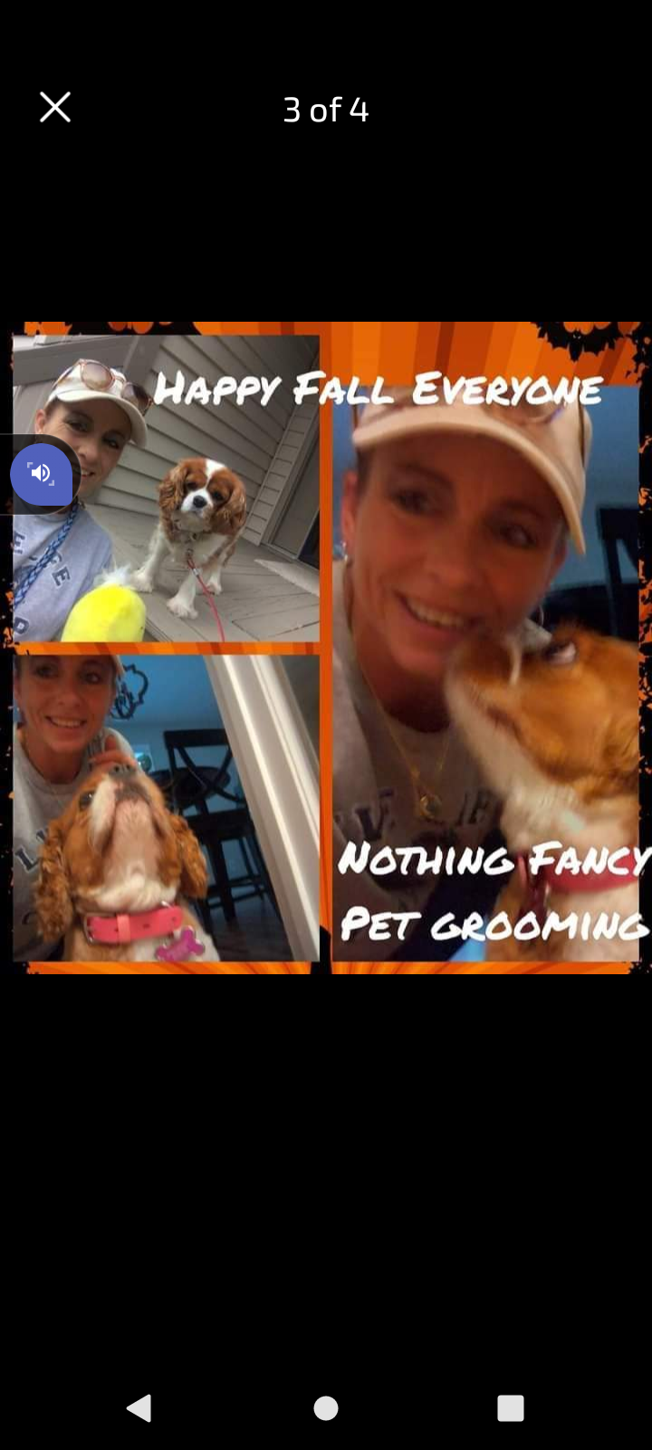Nothing Fancy Pet Grooming   logo