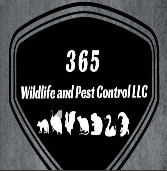 Avatar for 365 Wildlife and Pest Control LLC