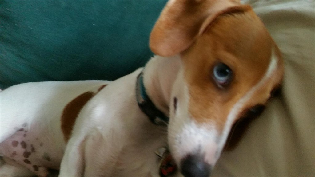 This is Fred