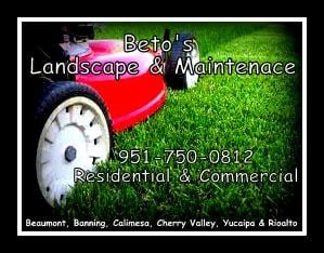 Avatar for Beto's Landscape & Maintenance