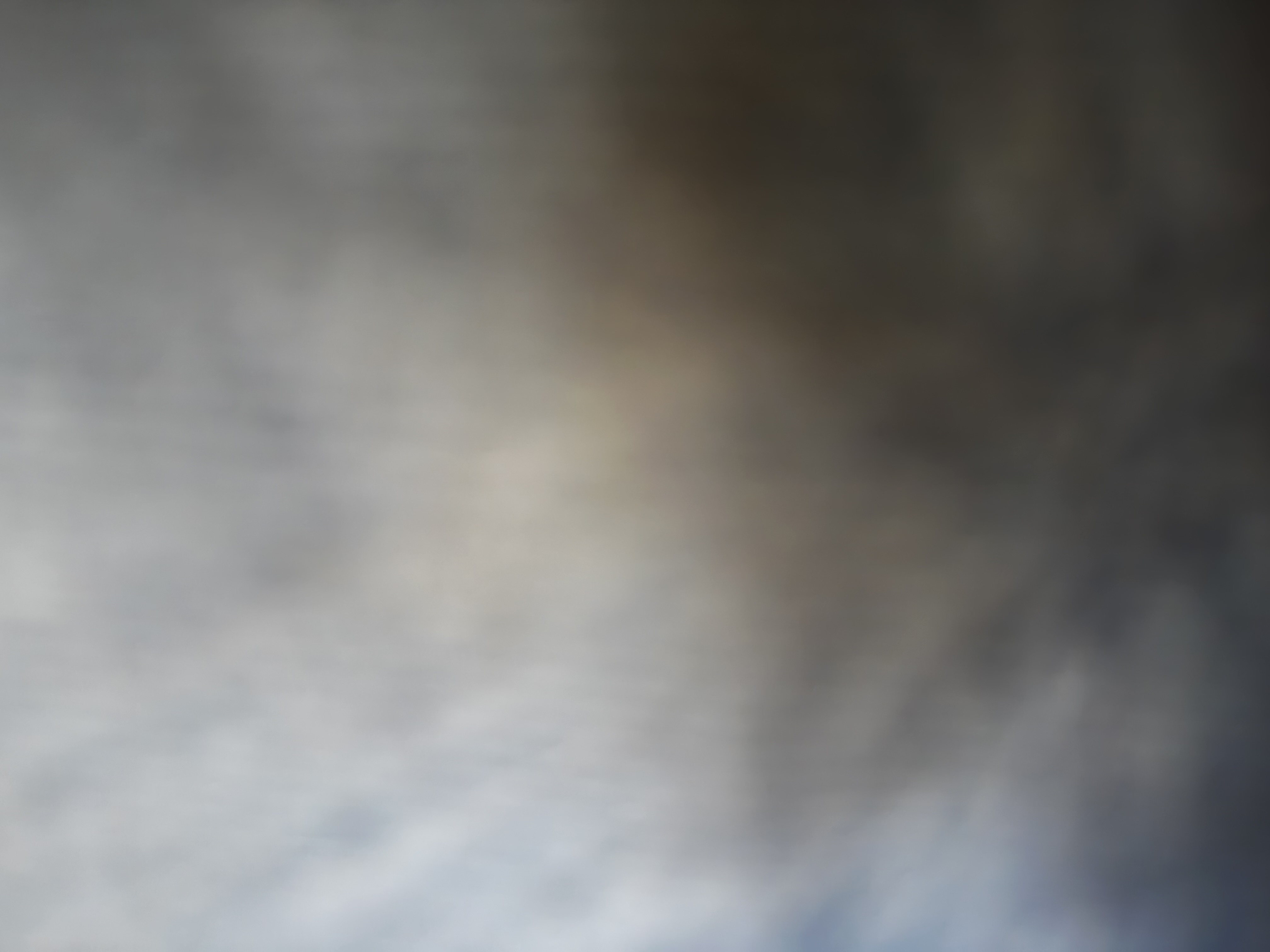 Avatar for Owen Chute