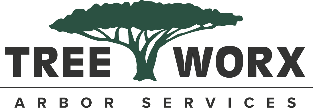 Avatar for Tree Worx