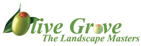 Logo for Olive Grove Landscaping Inc