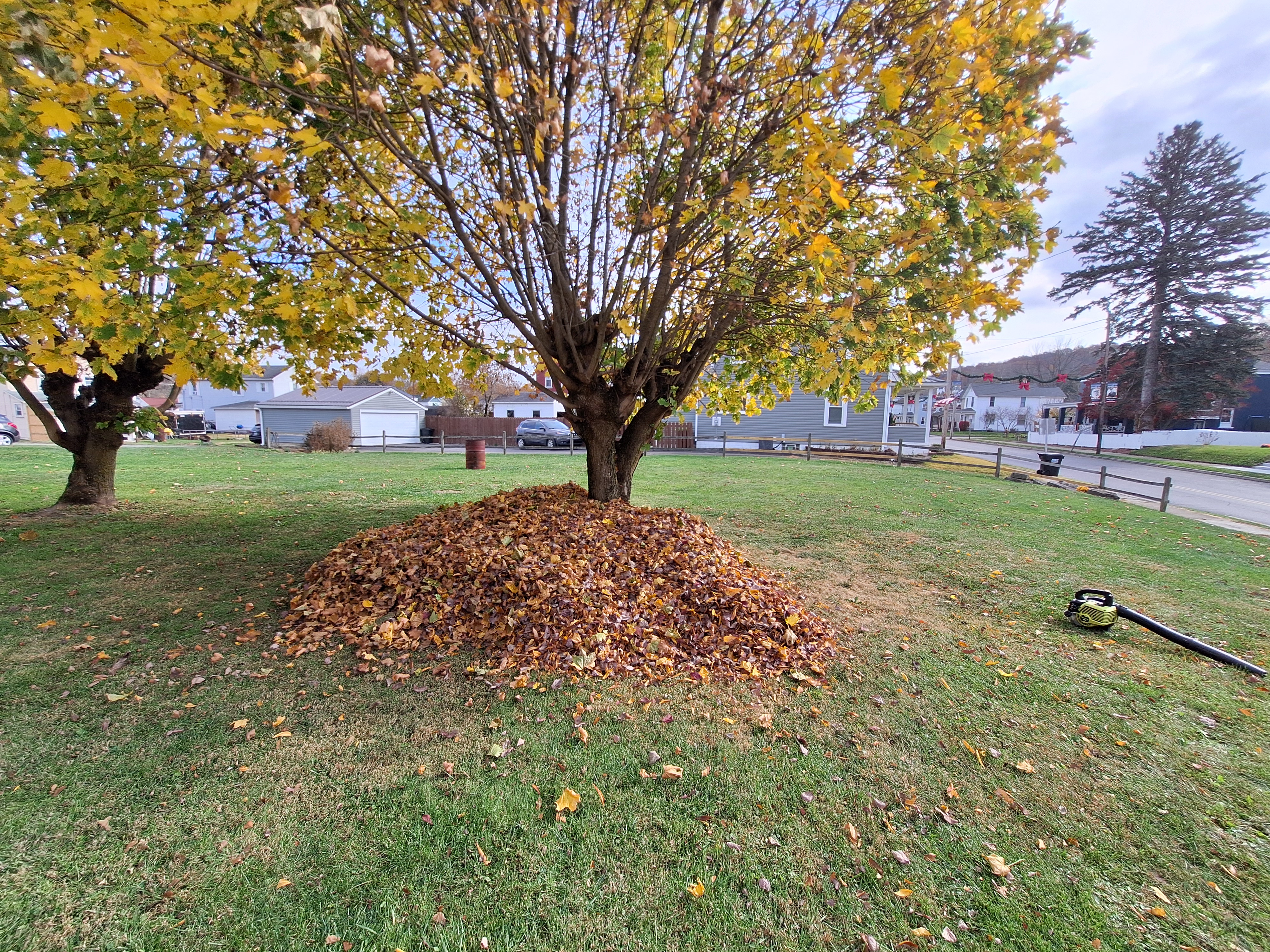 Avatar for Patterson Landscaping and Property Management