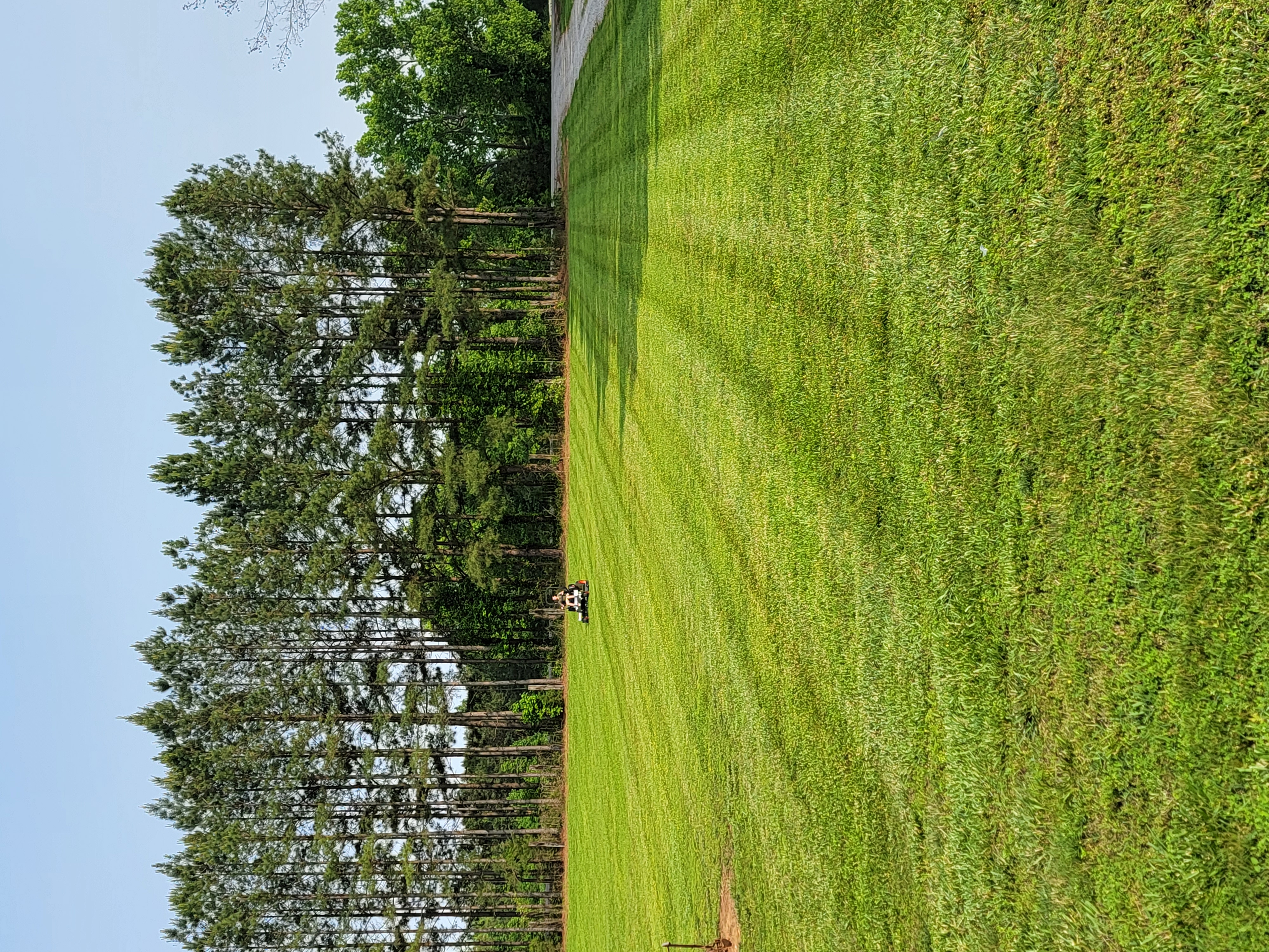 Avatar for Sheppard Grading & Lawn care