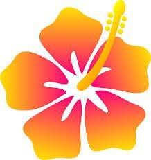 Hawaiian Breeze Auto Detailers logo