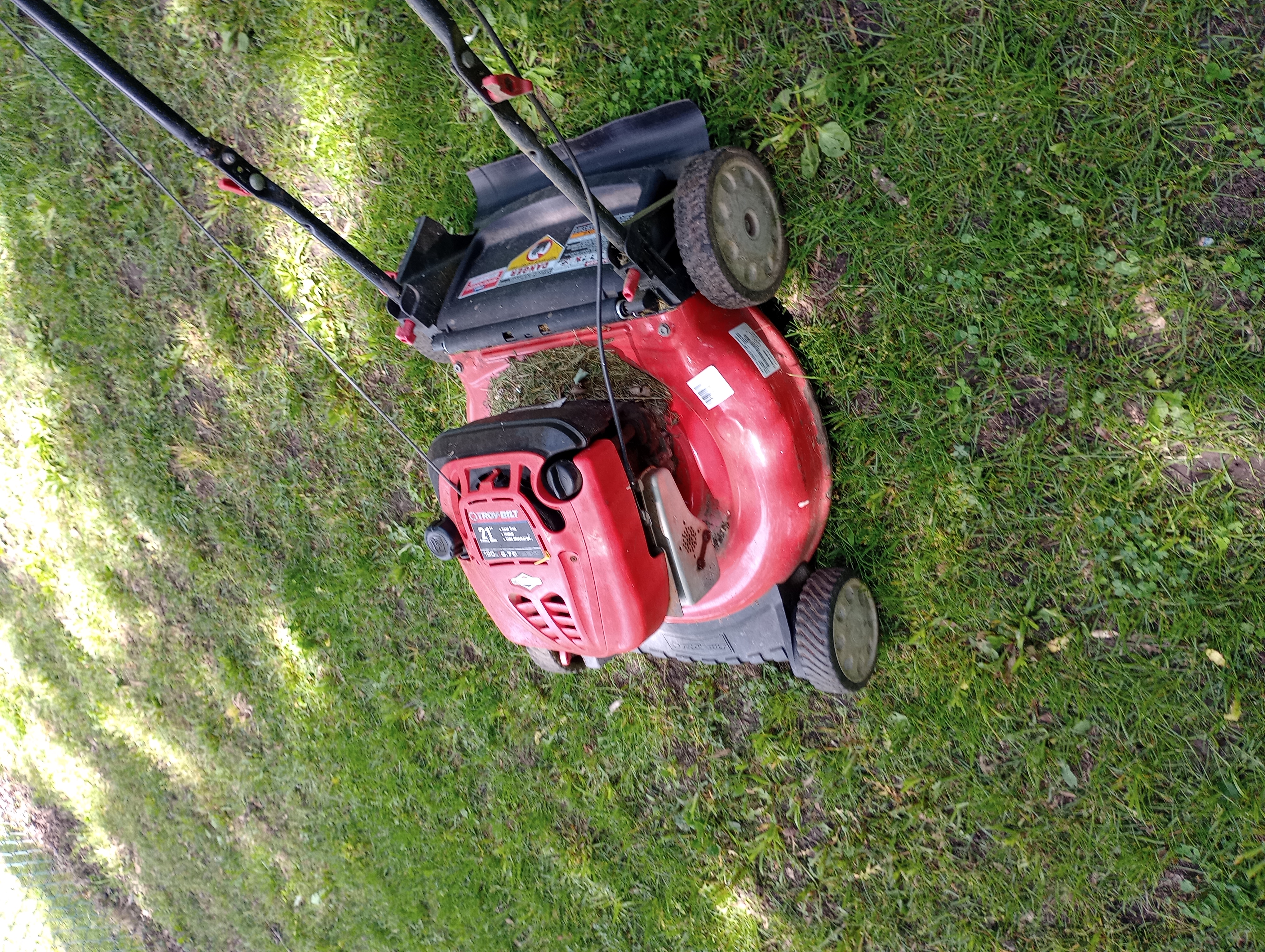 Avatar for Evans mowing