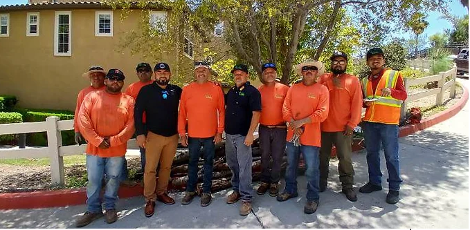 Avatar for handi scapes