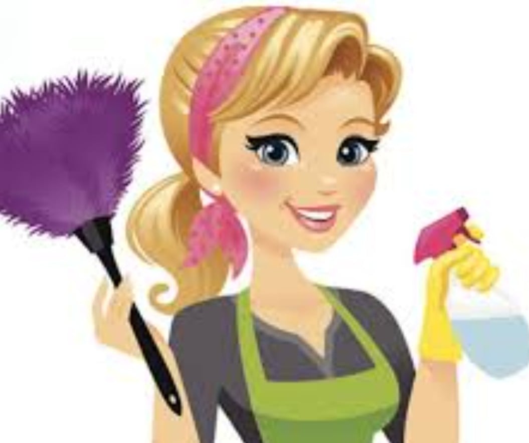 Avatar for Lizzy's Cleaning Services