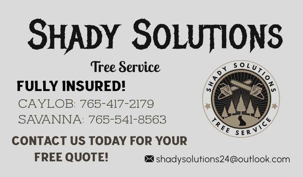 Avatar for Shady Solutions