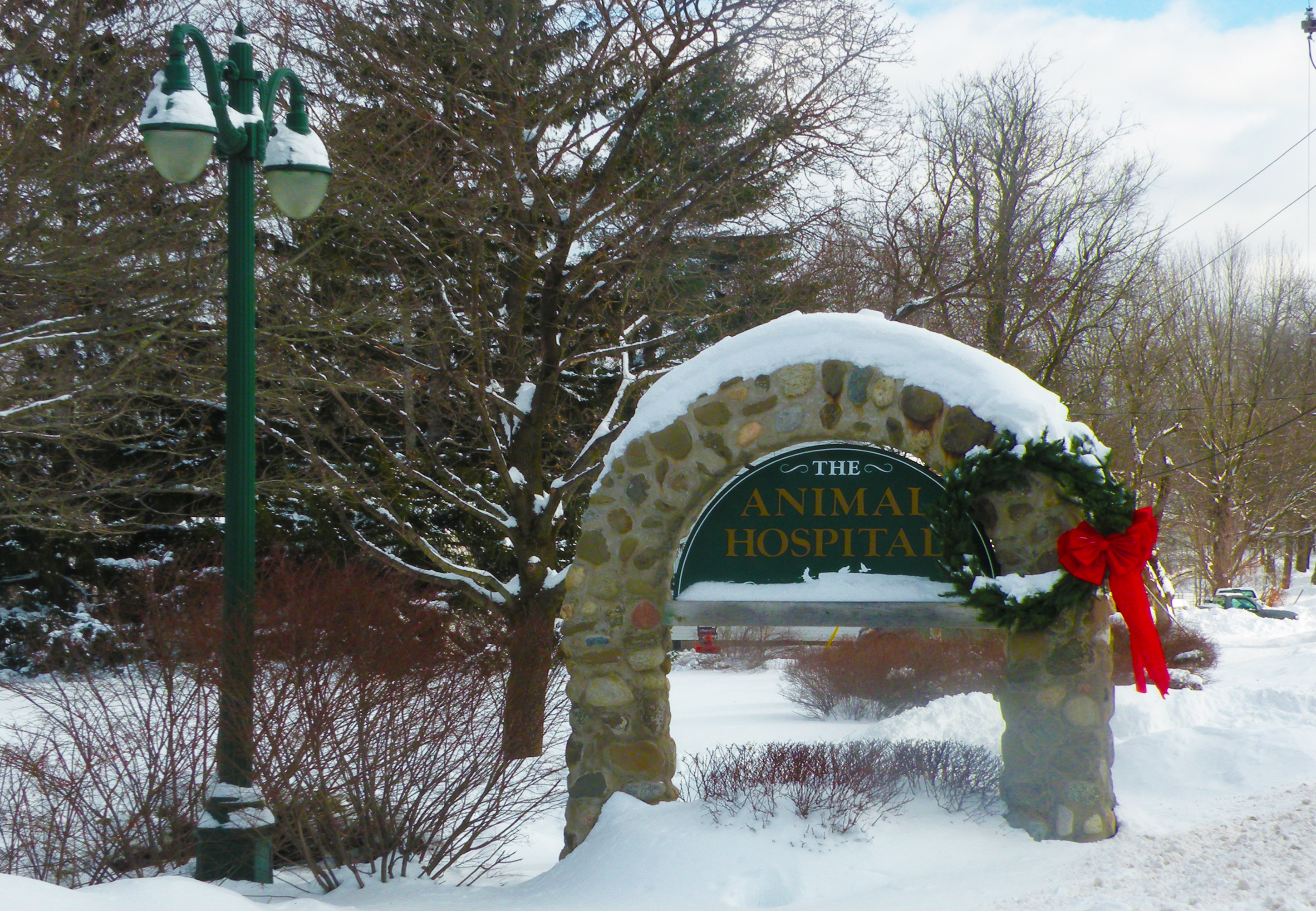 Our Entrance Winter