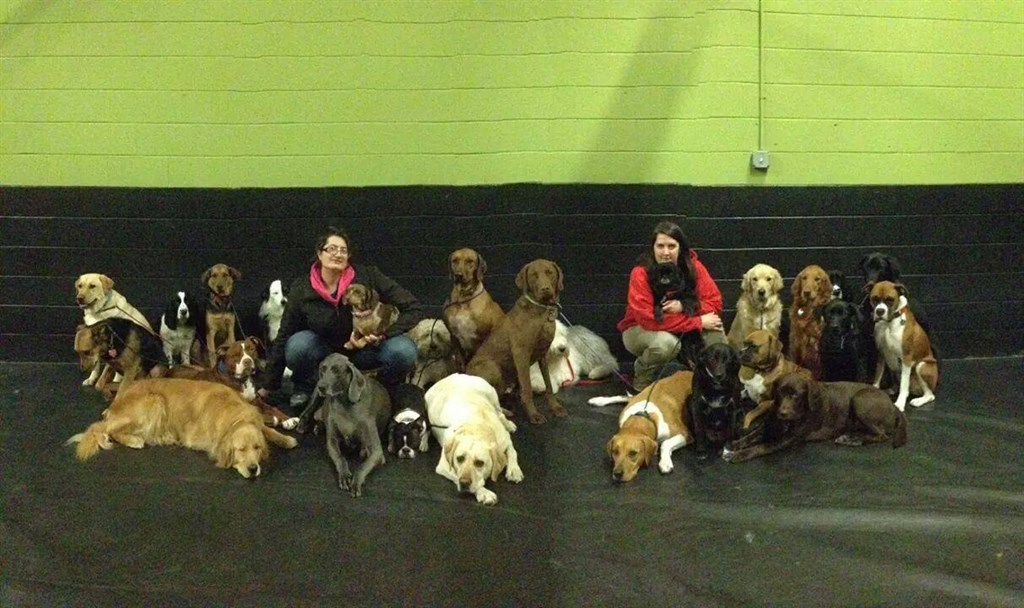 Pack picture