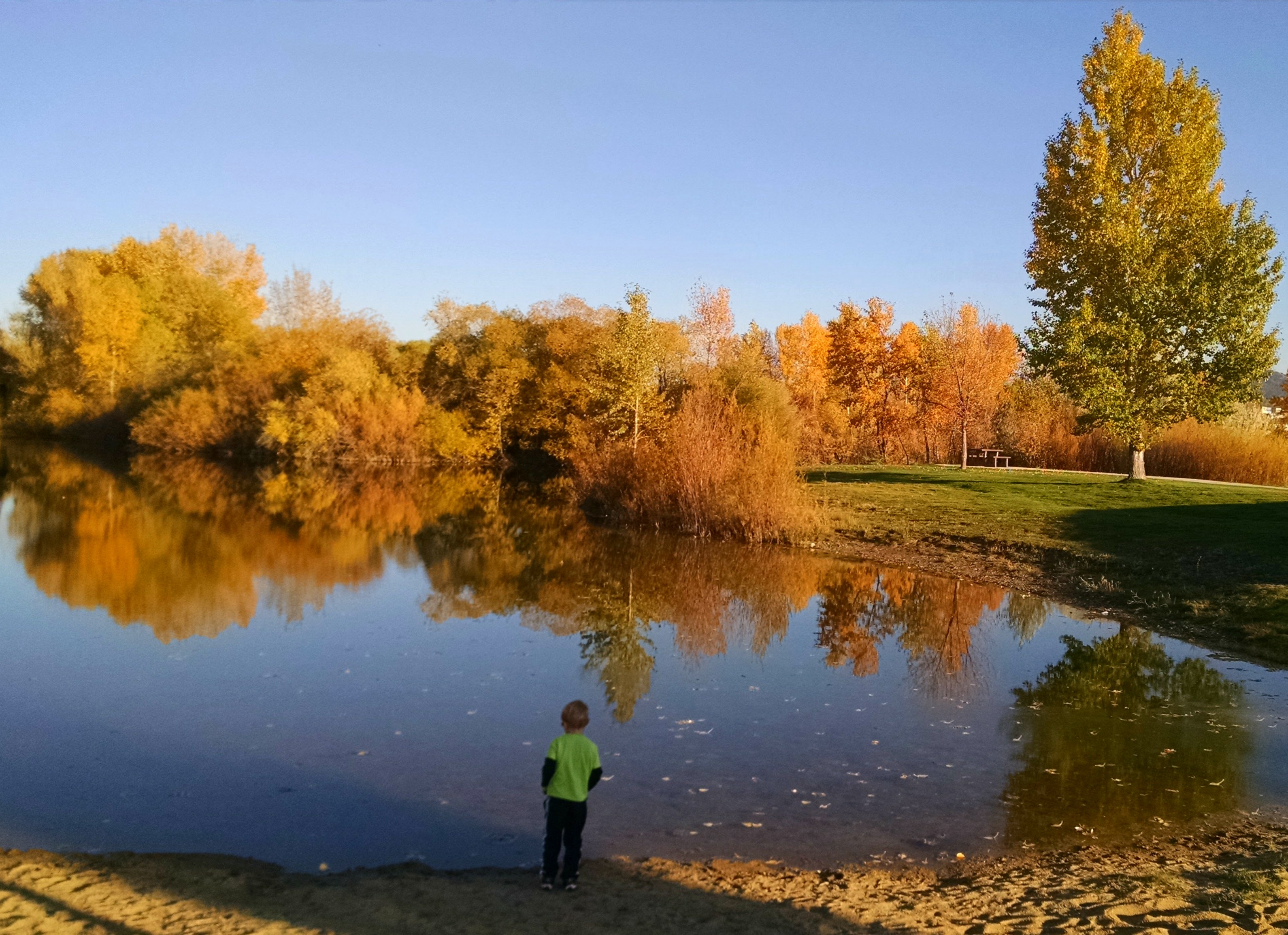 Avatar for Eagle Bay Lawn & Landscape LLC