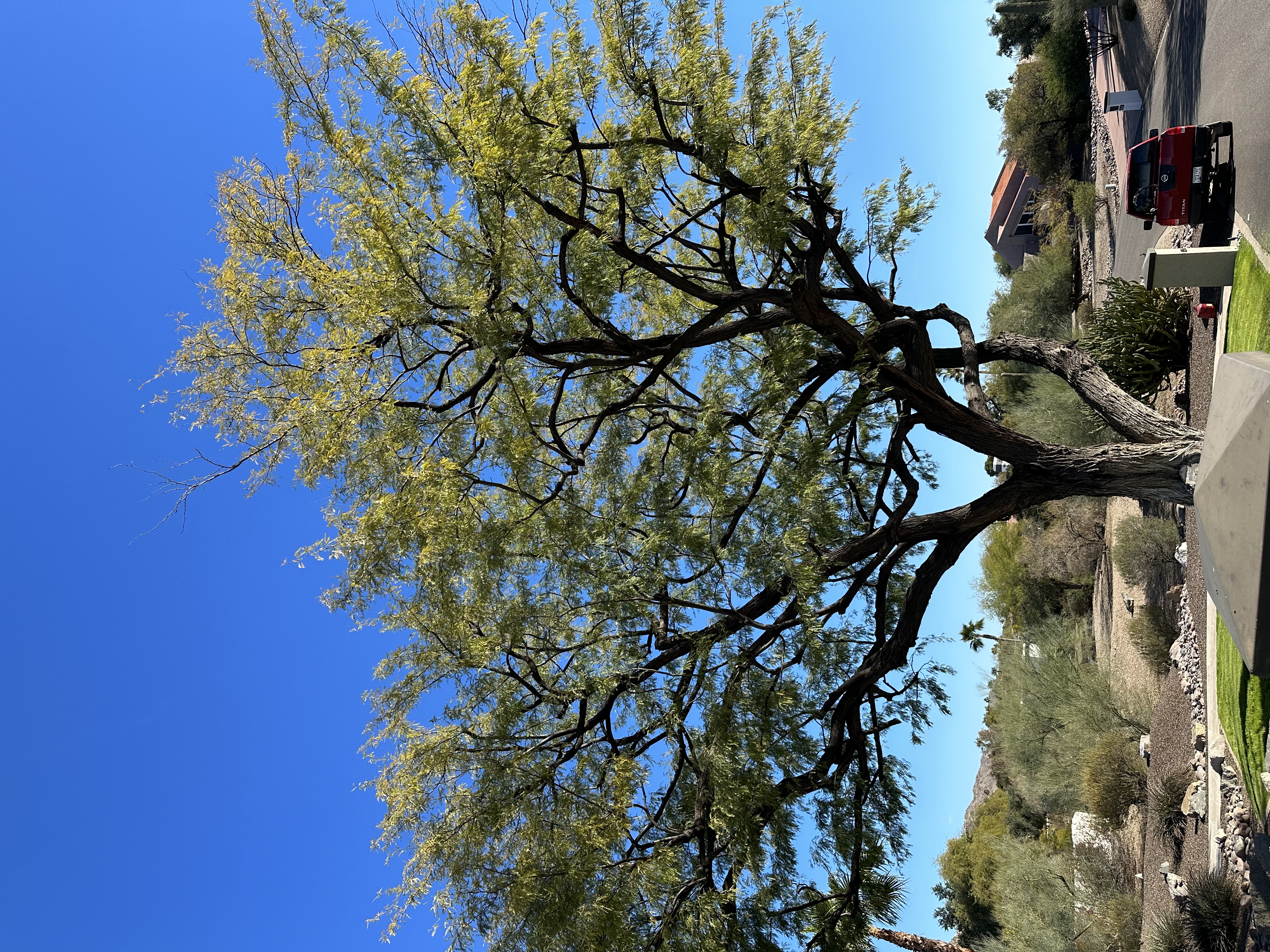 Avatar for Valenzuela Landscaping Services