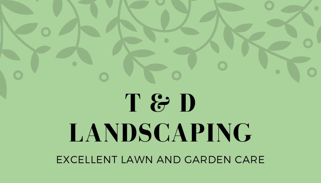 Avatar for T & D Landscaping 