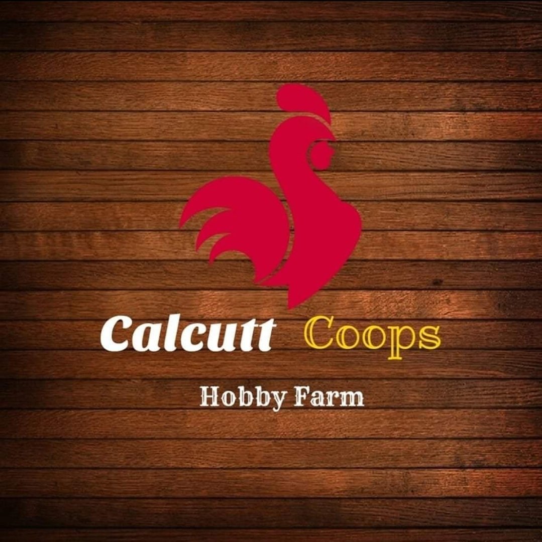 Avatar for Calcutt Coops Hobby Farm