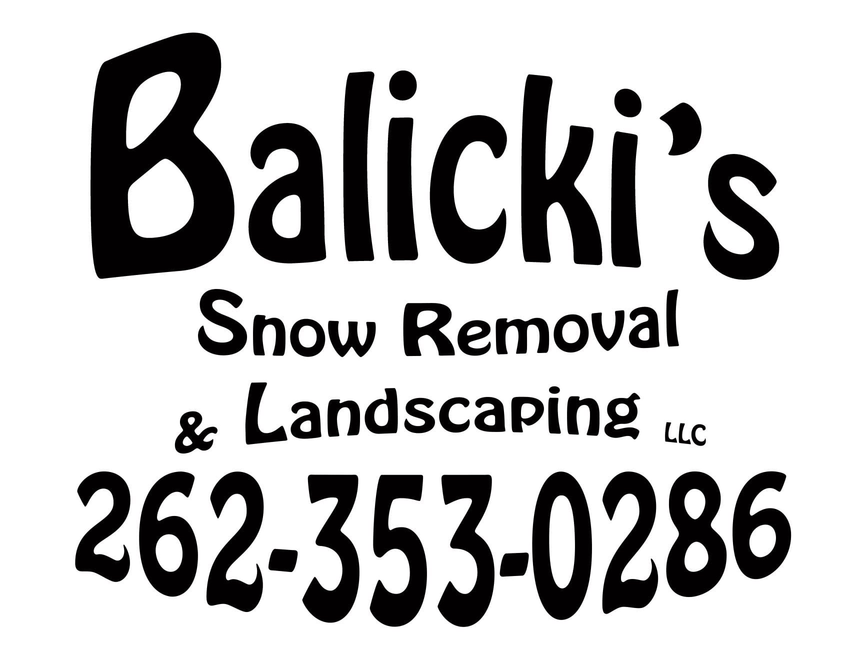 Avatar for Balicki's Snow Removal & Landscaping LLC