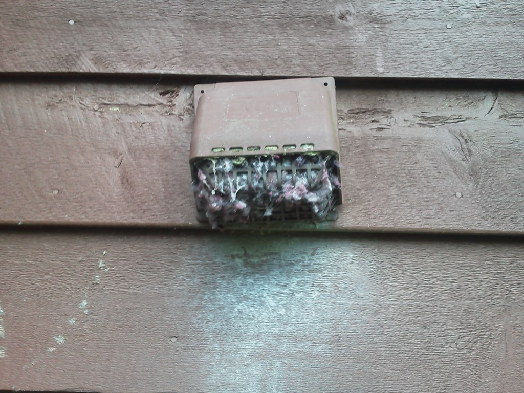 Dryer Vent-Fire Hazard