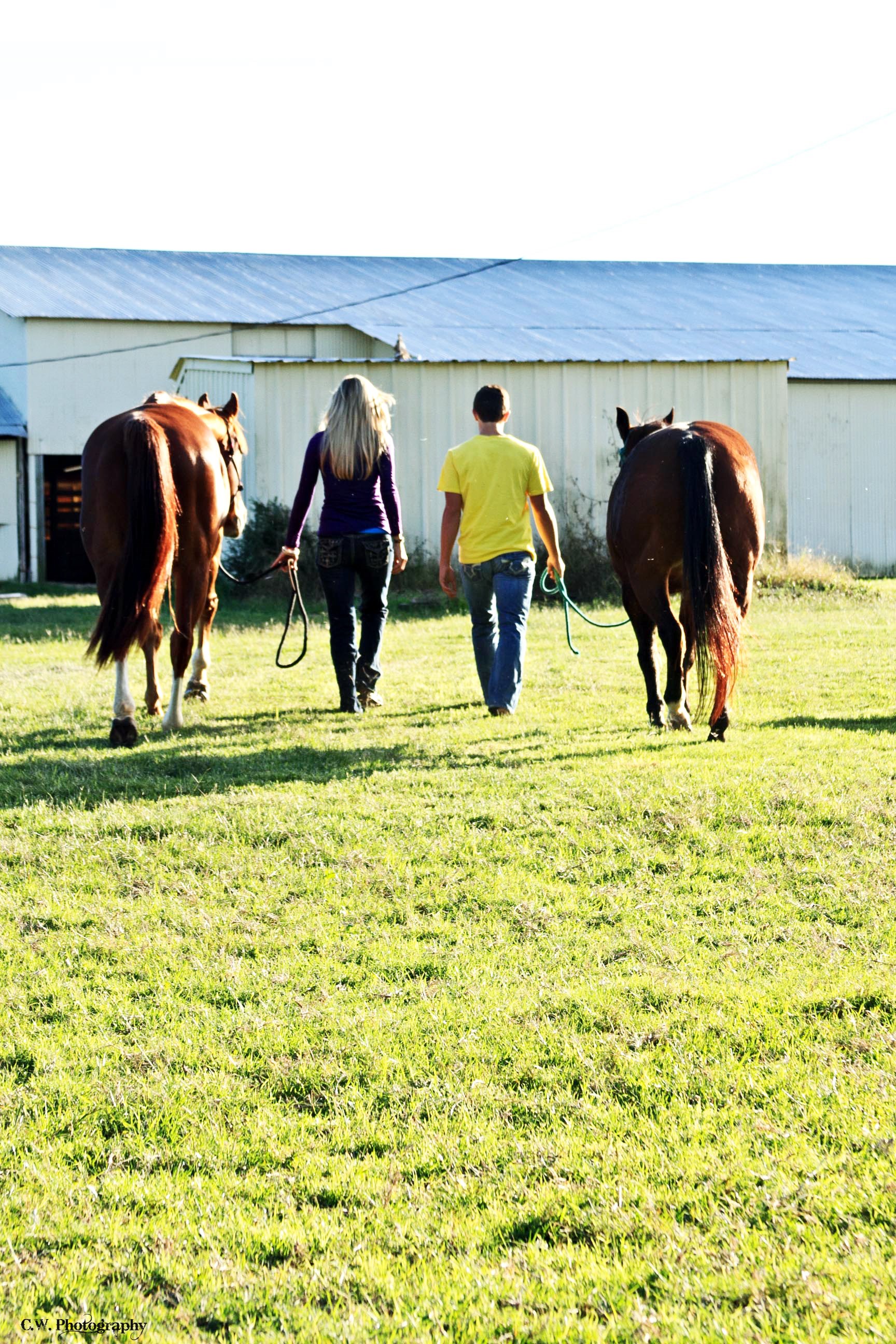 Avatar for Suzie Q Cleaning