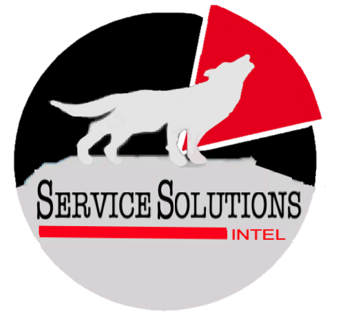 Avatar for Service Solutions Intel, LLC