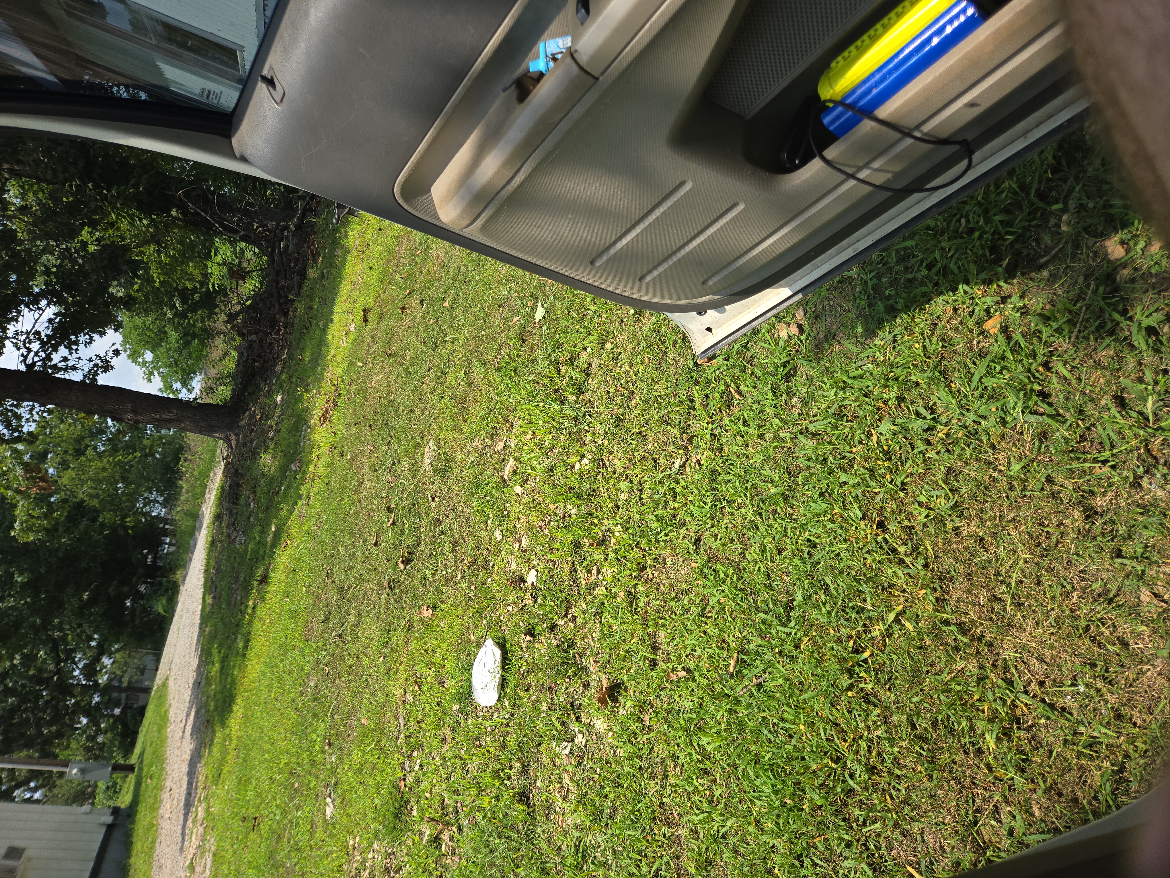 Avatar for Peardons lawn