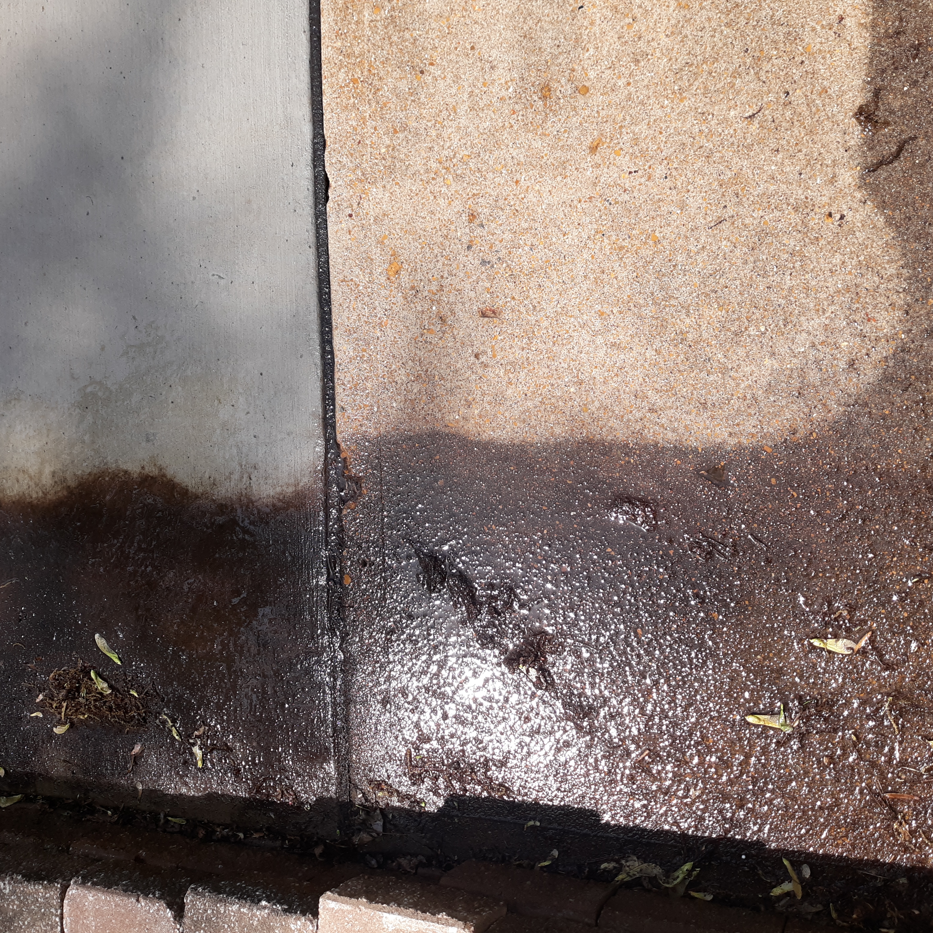 Avatar for Bohn Power Washing LLC