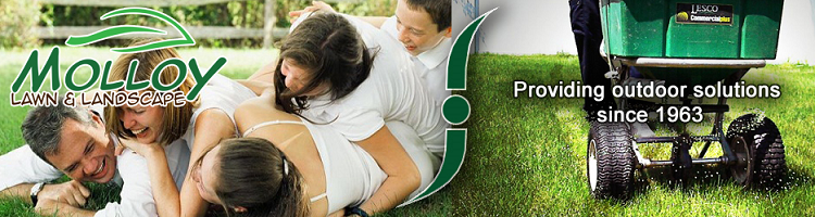 Avatar for Piedmont Lawn Service