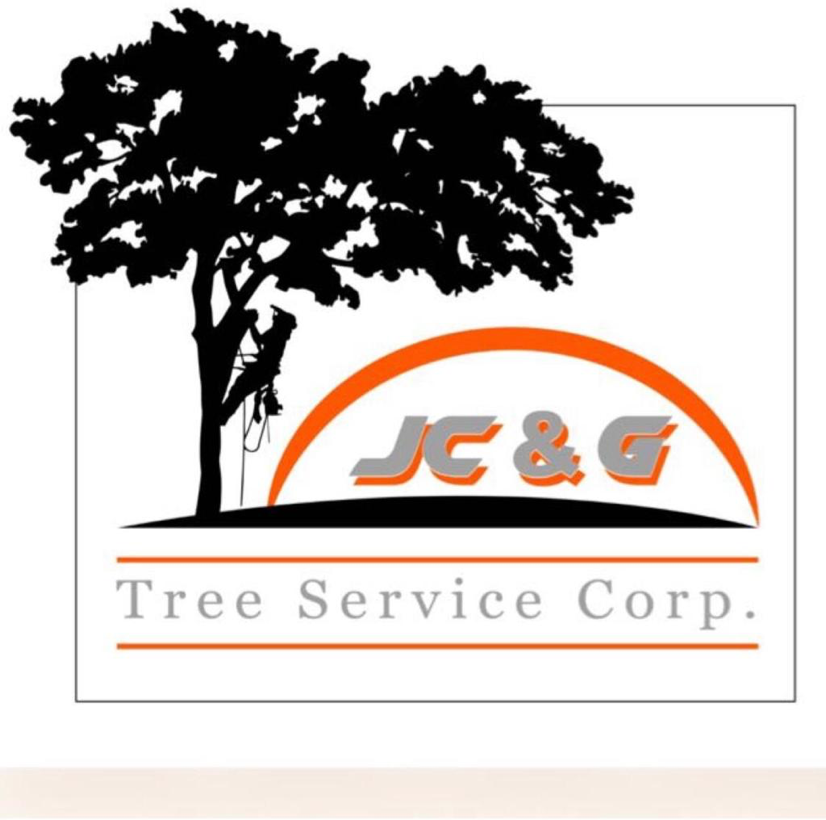 Top 10 Best Tree Removal Services In Lexington Ma Angi Angie S List